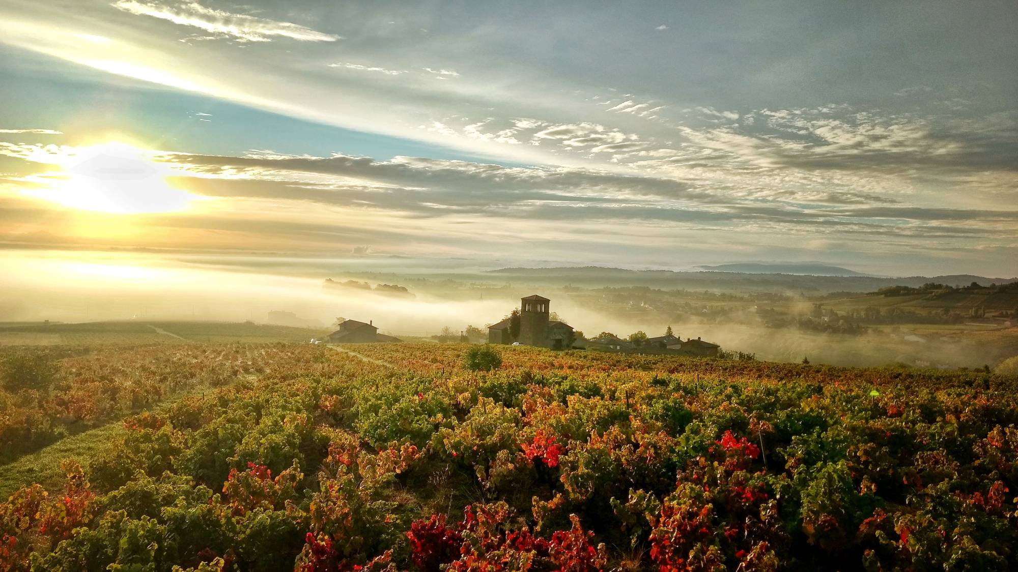 Beaujolais panoramas