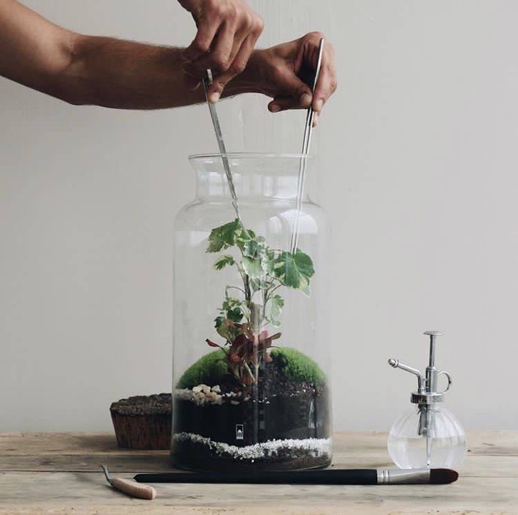 Atelier participatif terrarium en boutique